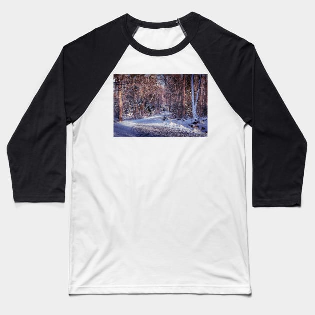 Hemlock Ravine Park 09 Baseball T-Shirt by kenmo